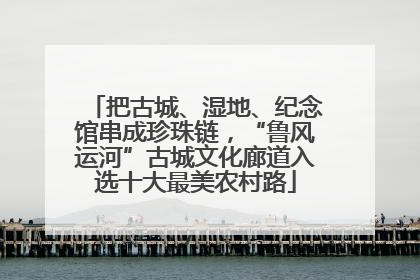 把古城、湿地、纪念馆串成珍珠链，“鲁风运河”古城文化廊道入选十大最美农村路