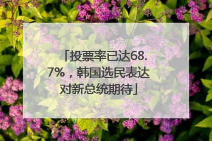 投票率已达68.7%，韩国选民表达对新总统期待