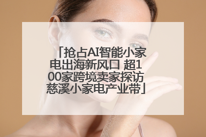 抢占AI智能小家电出海新风口 超100家跨境卖家探访慈溪小家电产业带