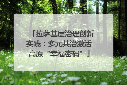 拉萨基层治理创新实践：多元共治激活高原“幸福密码”