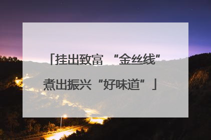挂出致富 “金丝线” 煮出振兴“好味道”