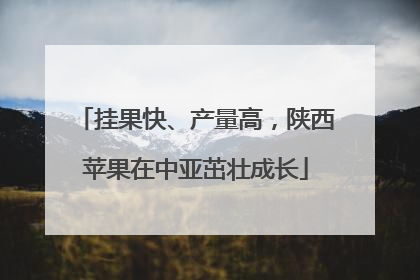 挂果快、产量高，陕西苹果在中亚茁壮成长