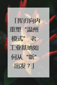 挥刃向内重塑“温州模式” 老工业基地如何从“新”出发？