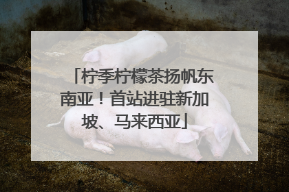 柠季柠檬茶扬帆东南亚！首站进驻新加坡、马来西亚