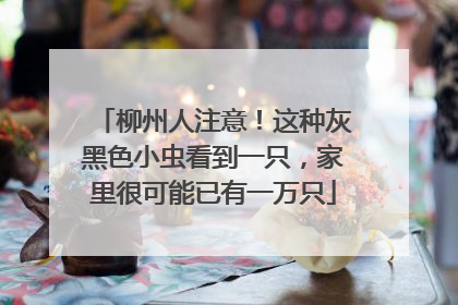 柳州人注意！这种灰黑色小虫看到一只，家里很可能已有一万只