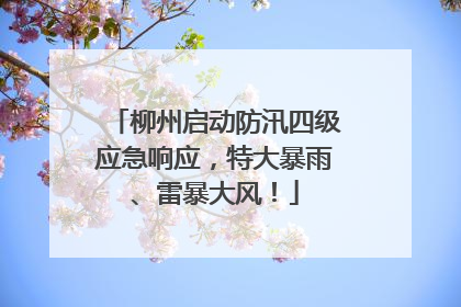柳州启动防汛四级应急响应，特大暴雨、雷暴大风！
