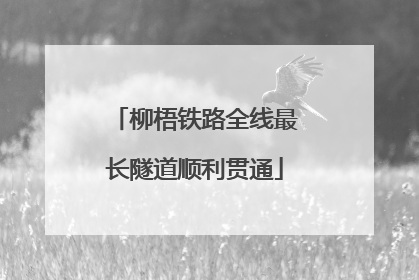 柳梧铁路全线最长隧道顺利贯通