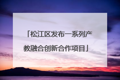 松江区发布一系列产教融合创新合作项目