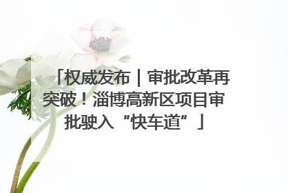 权威发布｜审批改革再突破！淄博高新区项目审批驶入“快车道”