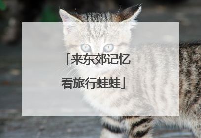 来东郊记忆 看旅行蛙蛙