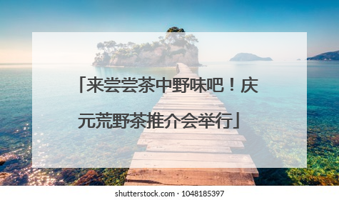 来尝尝茶中野味吧！庆元荒野茶推介会举行