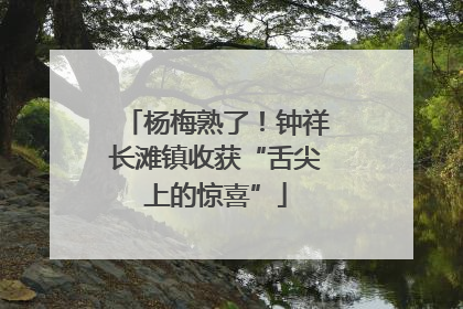 杨梅熟了！钟祥长滩镇收获“舌尖上的惊喜”