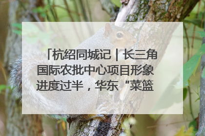 杭绍同城记｜长三角国际农批中心项目形象进度过半，华东“菜篮子”建设加码提速！