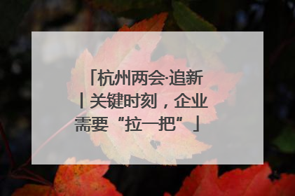 杭州两会·追新丨关键时刻，企业需要“拉一把”