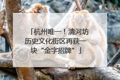 杭州唯一！清河坊历史文化街区再获一块“金字招牌”