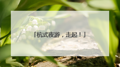 杭式夜游，走起！