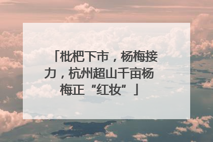 枇杷下市，杨梅接力，杭州超山千亩杨梅正“红妆”
