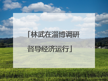 林武在淄博调研督导经济运行