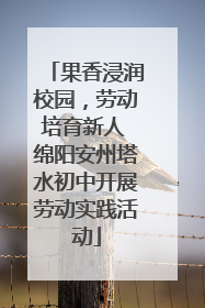 果香浸润校园，劳动培育新人 绵阳安州塔水初中开展劳动实践活动
