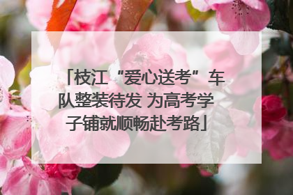 枝江“爱心送考”车队整装待发 为高考学子铺就顺畅赴考路