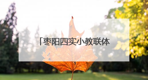 枣阳四实小教联体：反邪教育进校园 守护青春筑安全