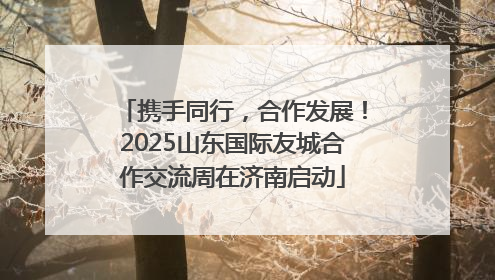 携手同行，合作发展！2025山东国际友城合作交流周在济南启动