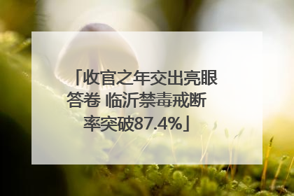 收官之年交出亮眼答卷 临沂禁毒戒断率突破87.4%