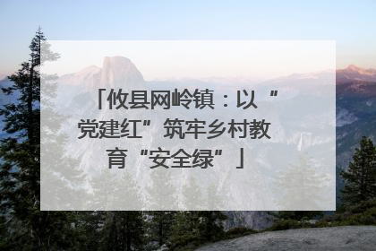 攸县网岭镇：以“党建红”筑牢乡村教育“安全绿”