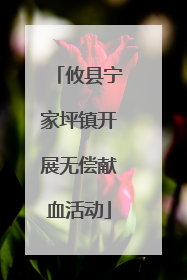 攸县宁家坪镇开展无偿献血活动