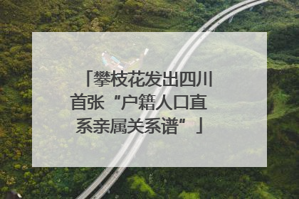 攀枝花发出四川首张“户籍人口直系亲属关系谱”