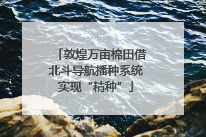 敦煌万亩棉田借北斗导航播种系统实现“精种”