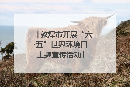 敦煌市开展“六·五”世界环境日主题宣传活动