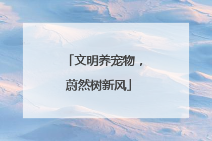 文明养宠物，蔚然树新风