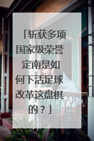 斩获多项国家级荣誉 定南是如何下活足球改革这盘棋的？
