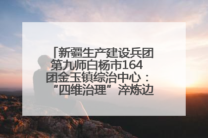 新疆生产建设兵团第九师白杨市164团金玉镇综治中心：“四维治理”淬炼边疆“枫桥样本”
