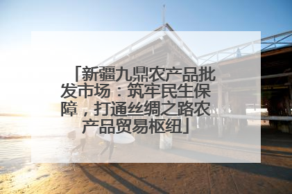 新疆九鼎农产品批发市场：筑牢民生保障，打通丝绸之路农产品贸易枢纽