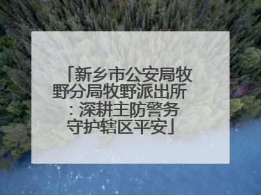 新乡市公安局牧野分局牧野派出所：深耕主防警务 守护辖区平安
