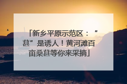 新乡平原示范区：“葚”是诱人！黄河滩百亩桑葚等你来采摘