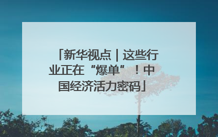 新华视点｜这些行业正在“爆单”！中国经济活力密码