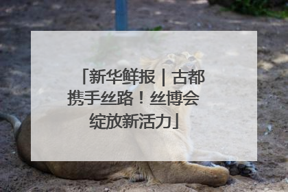 新华鲜报｜古都携手丝路！丝博会绽放新活力