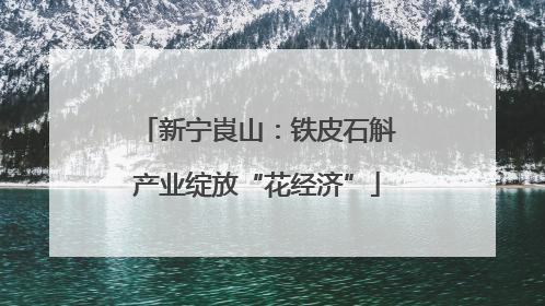 新宁崀山：铁皮石斛产业绽放“花经济”