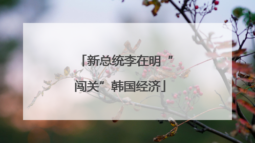 新总统李在明“闯关”韩国经济