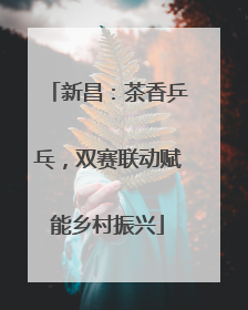 新昌：茶香乒乓，双赛联动赋能乡村振兴