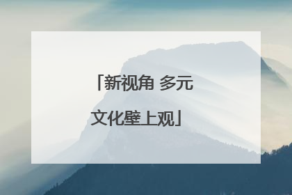 新视角 多元文化壁上观