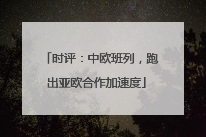 时评：中欧班列，跑出亚欧合作加速度