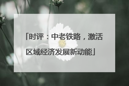 时评：中老铁路，激活区域经济发展新动能