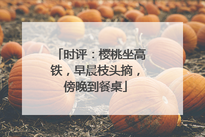 时评：樱桃坐高铁，早晨枝头摘，傍晚到餐桌