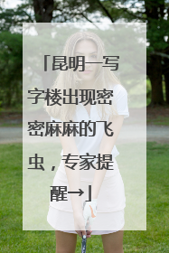 昆明一写字楼出现密密麻麻的飞虫，专家提醒→