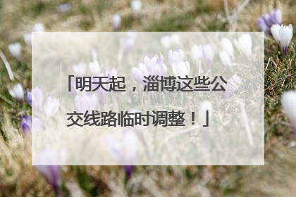明天起，淄博这些公交线路临时调整！
