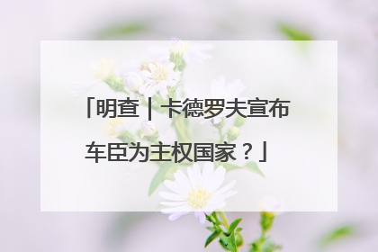 明查｜卡德罗夫宣布车臣为主权国家？